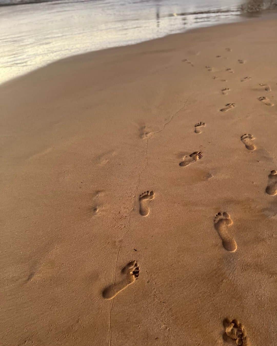 ミランダ・コスグローヴさんのインスタグラム写真 (ミランダ・コスグローヴInstagram)「🦀🐠🐙🐢」8月23日 3時19分