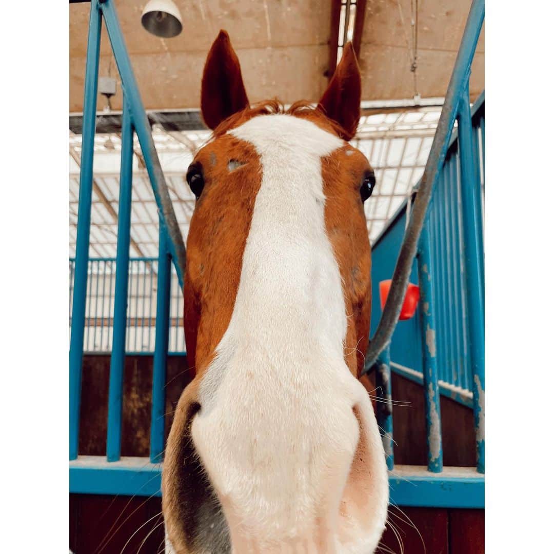 紗栄子のグルメインスタ