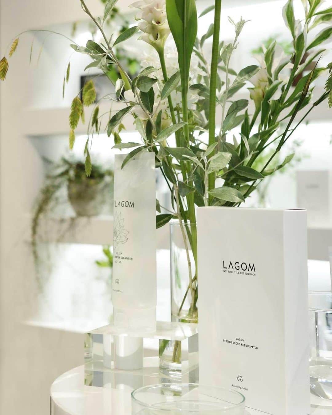 石川理咲子のインスタグラム：「#lagom #imfrom @lagom_tokyo @imfrom_jp の新作発表会へ🌿 どちらも普段から愛用しているお気に入り♡ @lagom_tokyo からは大好きで何本もリピートしている ジェルトゥウォータークレンザー（朝用洗顔）に 数量限定でロータスの香りが発売されます。 夜のあいだ肌に浮き出た皮脂や角質をすっきりオフし、 しっとりとしたクリアな印象のお肌に🧖‍♀️ 今まで朝は水洗顔だったのですが、 このジェルクレンザーを一度使ったら病みつきに🥹✨ 人気のシカクリームも保湿力がアップして リニューアル✨無香料で使いやすいです！ オンライン限定発売のニードルパッチも ペプチドやアクアリシア、ヒアルロン酸Na配合で ハリを実感出来るそうです。  @imfrom_jp からは エイジングに特化したビーツシリーズから 毛穴汚れや肌のごわつきをオフするクレイマスクや、 美容液をたっぷり含ませたトナーパッド、 ハニーシリーズからは、蜂蜜の美容成分を凝縮させて 艶肌へと導くセラムやクリーム、 蜂蜜が10%も配合されているリップバームが新登場🍯 すべて8月24日に新発売です♡」