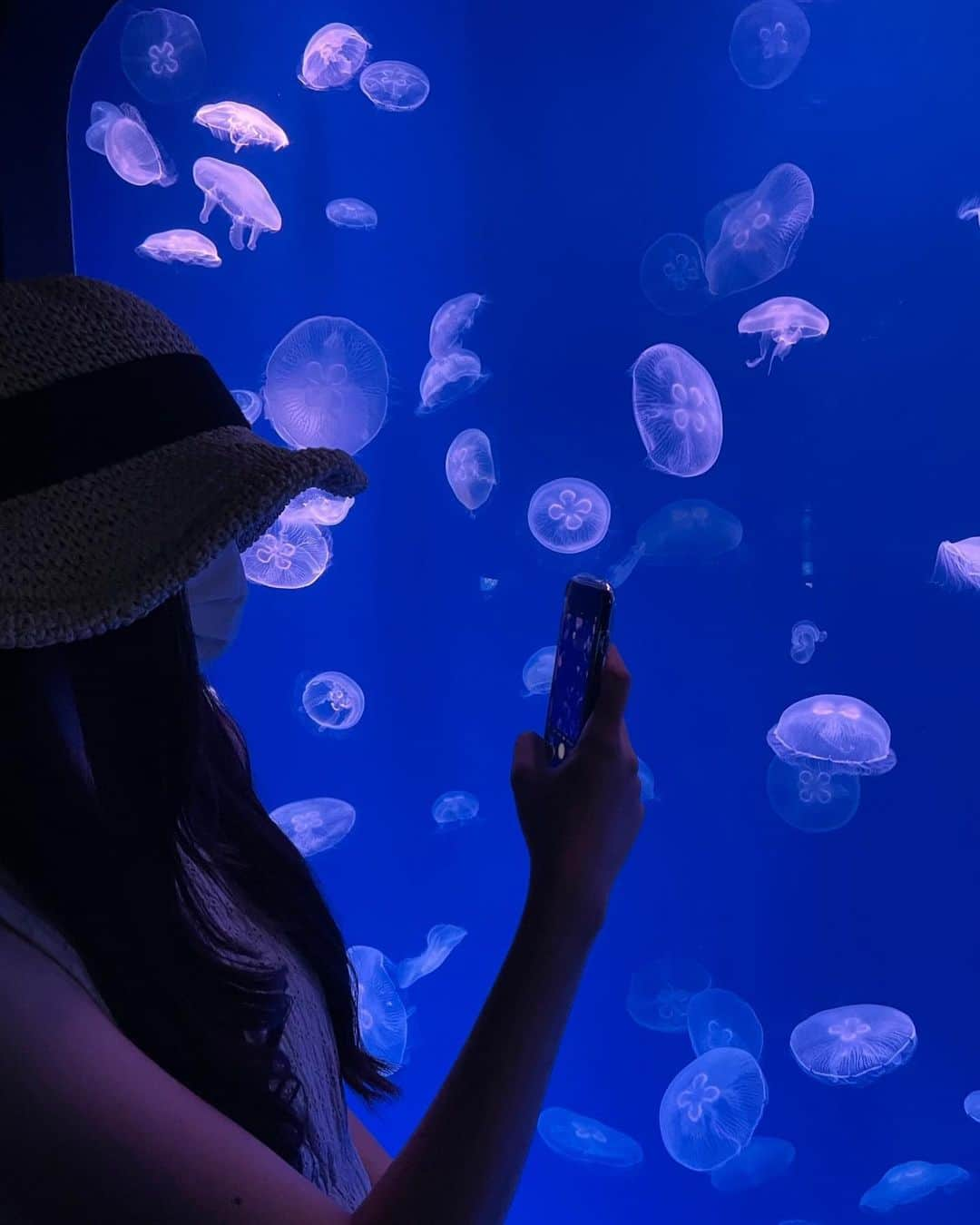 モカのインスタグラム：「Theインスタ映えって感じの水族館に行って来た🐟馬鹿綺麗でした」