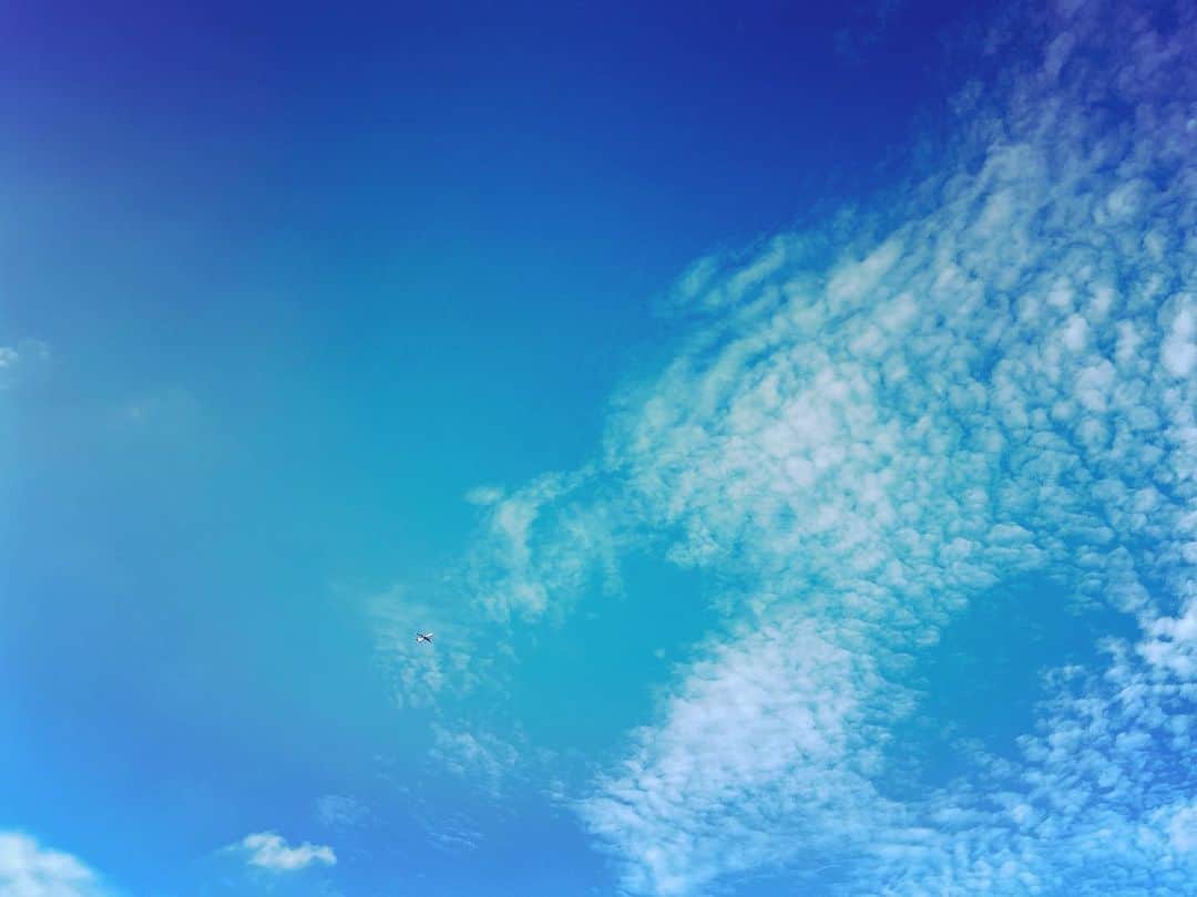 春菜めぐみのインスタグラム