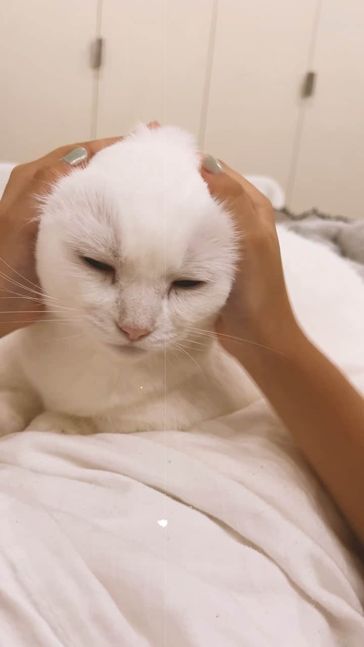 ダニョ（鈴木えみ）のインスタグラム