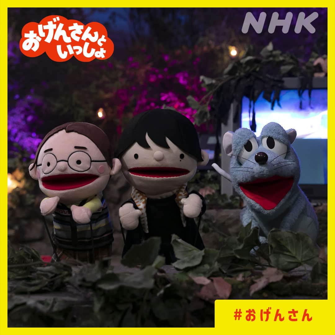 NHK「おげんさんといっしょ」のインスタグラム：「. おげんさんちのねずみだよ～！ᘛ⁐̤ᕐᐷ  「おげんさんといっしょ」の 見逃し配信、明日で終わっちゃうらしいよ！  おまつり、楽しいこと盛りだくさんで 思い出いっぱい。 見てない人もぜひ見てほしいなぁ～  見ながら、ねずみといっしょに 踊るべし！！  #おげんさん #星野源 #高畑充希 #藤井隆 #宮野真守 #三浦大知 #松重豊 #飯尾和樹 #KAKKO #鈴木杏樹 #NightTempo #菅原小春」