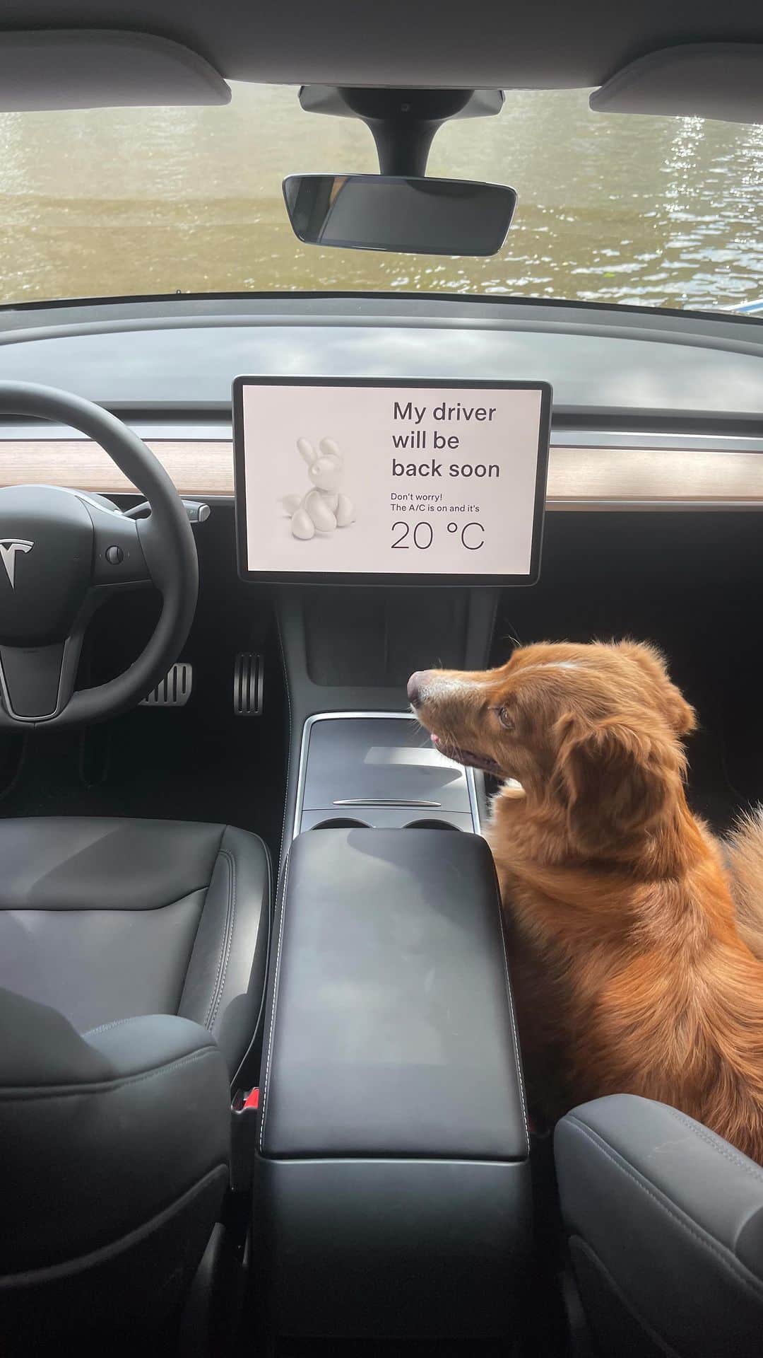 Teslaのインスタグラム：「🐶🚘❤️」
