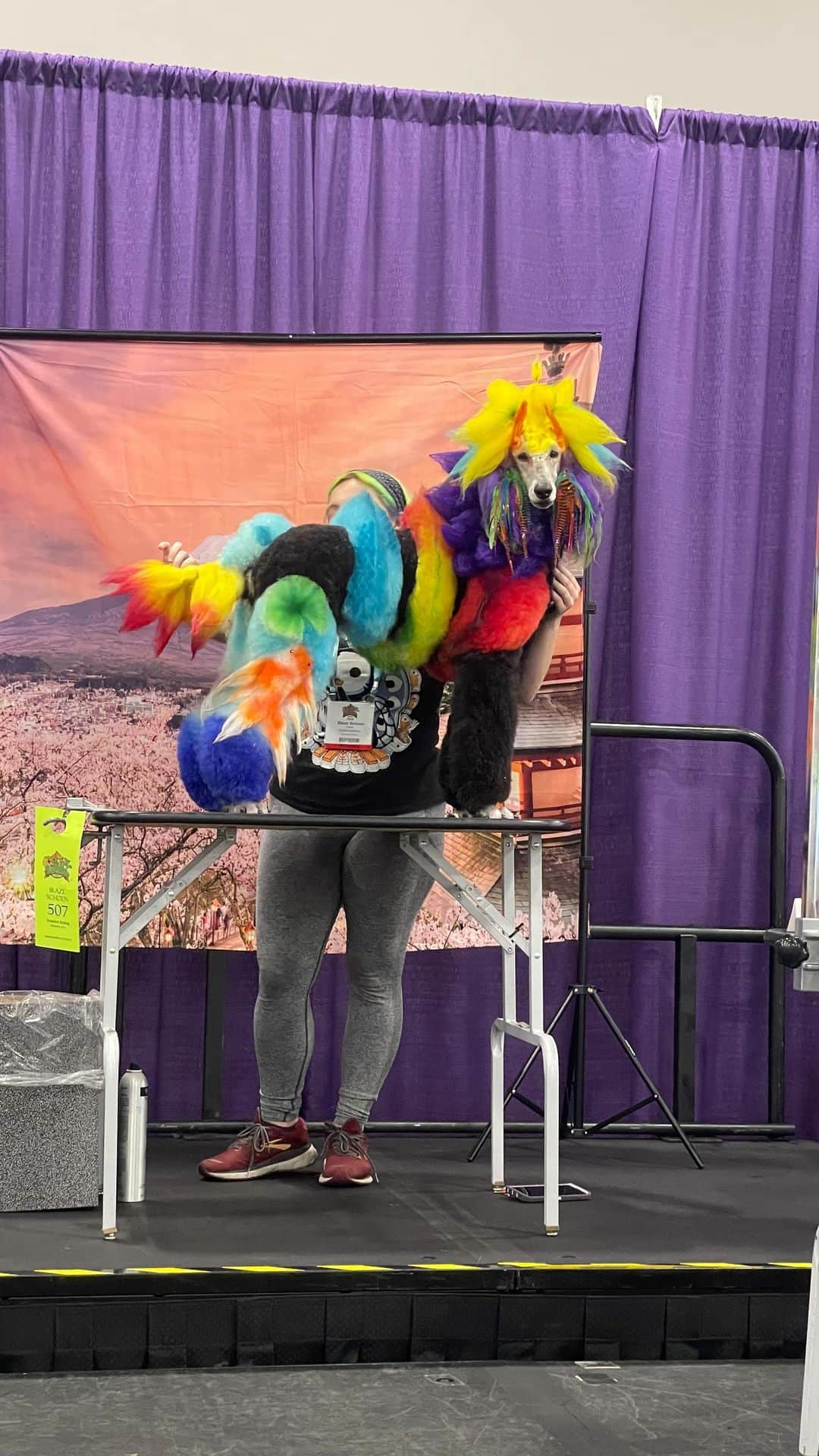 のインスタグラム：「We are LIVE at @superzooshow for the Creative Styling Grooming Contest! All dyes are pet friendly 🌈✨ Congrats to all contestants on your talents & to @toesnbows on winning first place! Who’s your favorite??   Apologies about the spotty connection — internet isn’t great in the conference center 🙃 . . . #doggrooming #doggroomingcontest #superzoo #dogsofinstagram #greatpetliving」