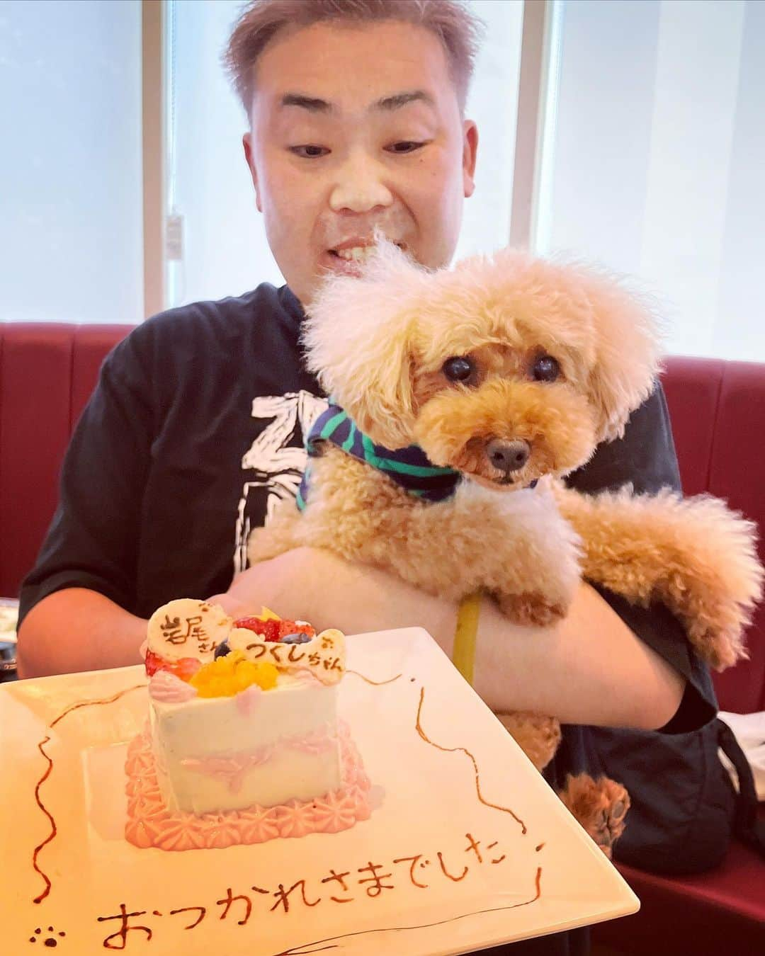 岩尾望さんのインスタグラム写真 - (岩尾望Instagram)「お仕事終わりに頂いたケーキに大興奮のつくし。」8月24日 8時22分 - iwaotsukushi