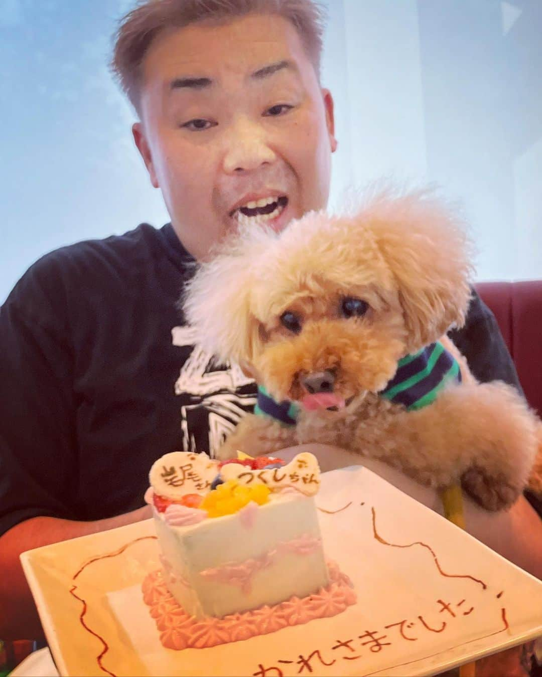 岩尾望さんのインスタグラム写真 - (岩尾望Instagram)「お仕事終わりに頂いたケーキに大興奮のつくし。」8月24日 8時22分 - iwaotsukushi