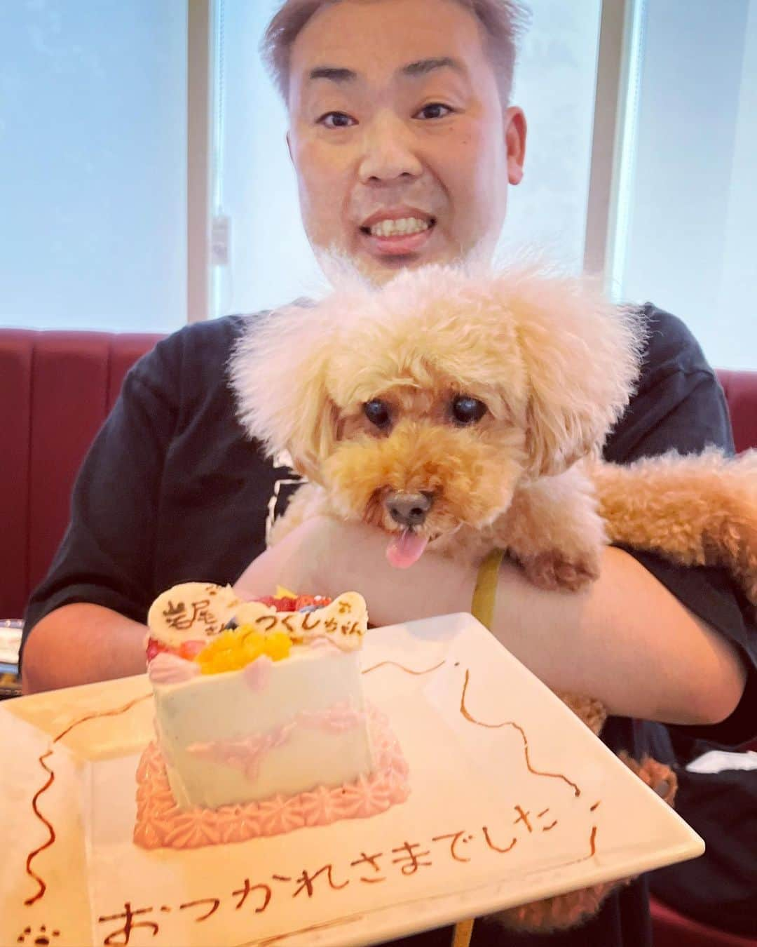 岩尾望さんのインスタグラム写真 - (岩尾望Instagram)「お仕事終わりに頂いたケーキに大興奮のつくし。」8月24日 8時22分 - iwaotsukushi