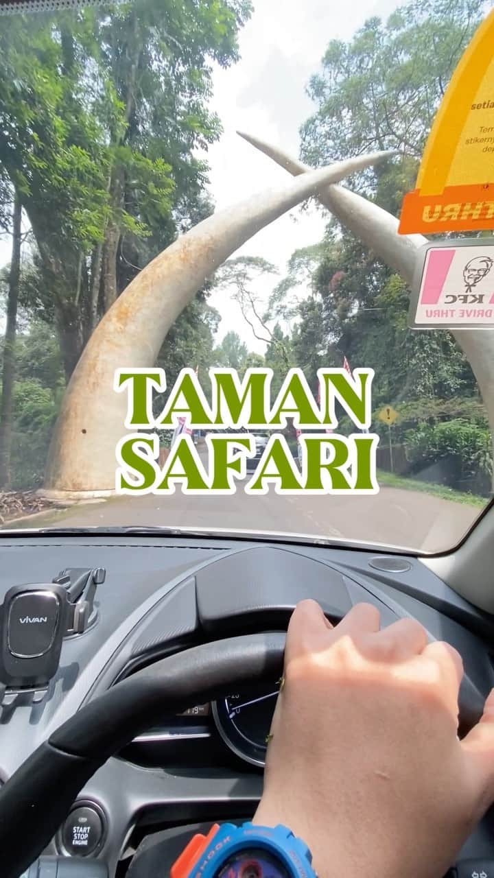 Andriani Toegionoのインスタグラム：「Taman Safari Day 👨‍👩‍👦‍👦 #minivlog」