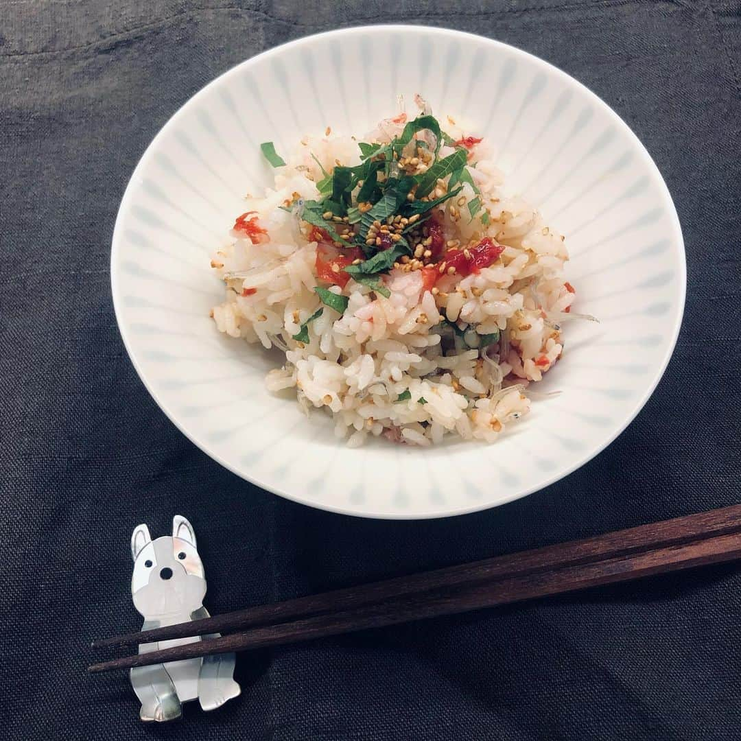 外村久美子さんのインスタグラム写真 - (外村久美子Instagram)「・ 夏休みのお昼ごはんも最終日🍚 明日からまた頑張れー💪」8月24日 15時18分 - kummy153