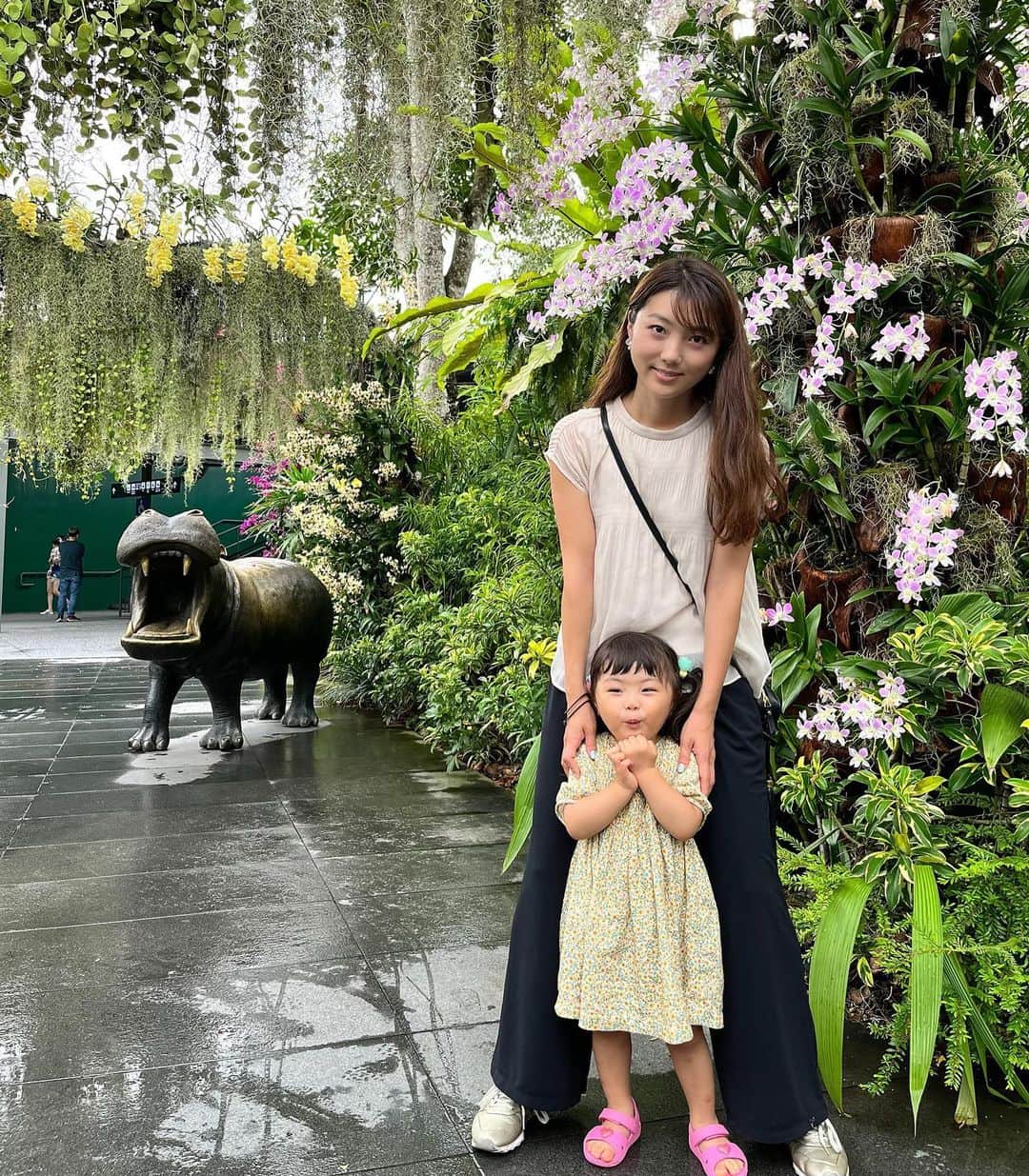 若井久美子のインスタグラム：「滞在中はシンガポール動物園にも行きました🐆ホワイトタイガー、ゾウさん、お猿さんやワオキツネザルにも会えました🐒特にワオキツネザル好きな私は無理矢理ですがツーショットも🫶w 娘も大興奮でした。 お調子者の娘、カメラ向けられるとすぐ変なお顔😂  #singapore  #singaporezoo  #シンガポール #夏休み」