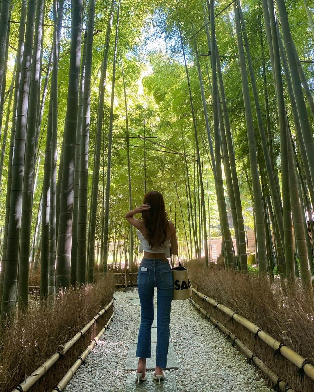 のインスタグラム：「・ 鎌倉にこんなところあるなんて知らなかった🍃」