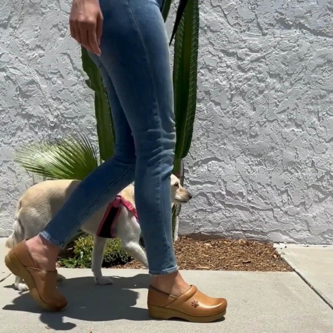 ダンスコのインスタグラム：「These clogs deserve a round of “ap-paws”」