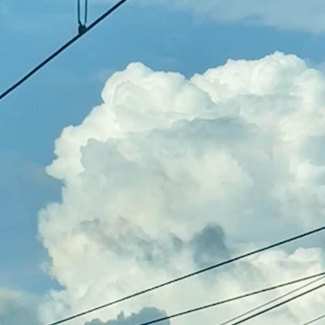 中条あやみのインスタグラム：「🌻👒☁️✨」