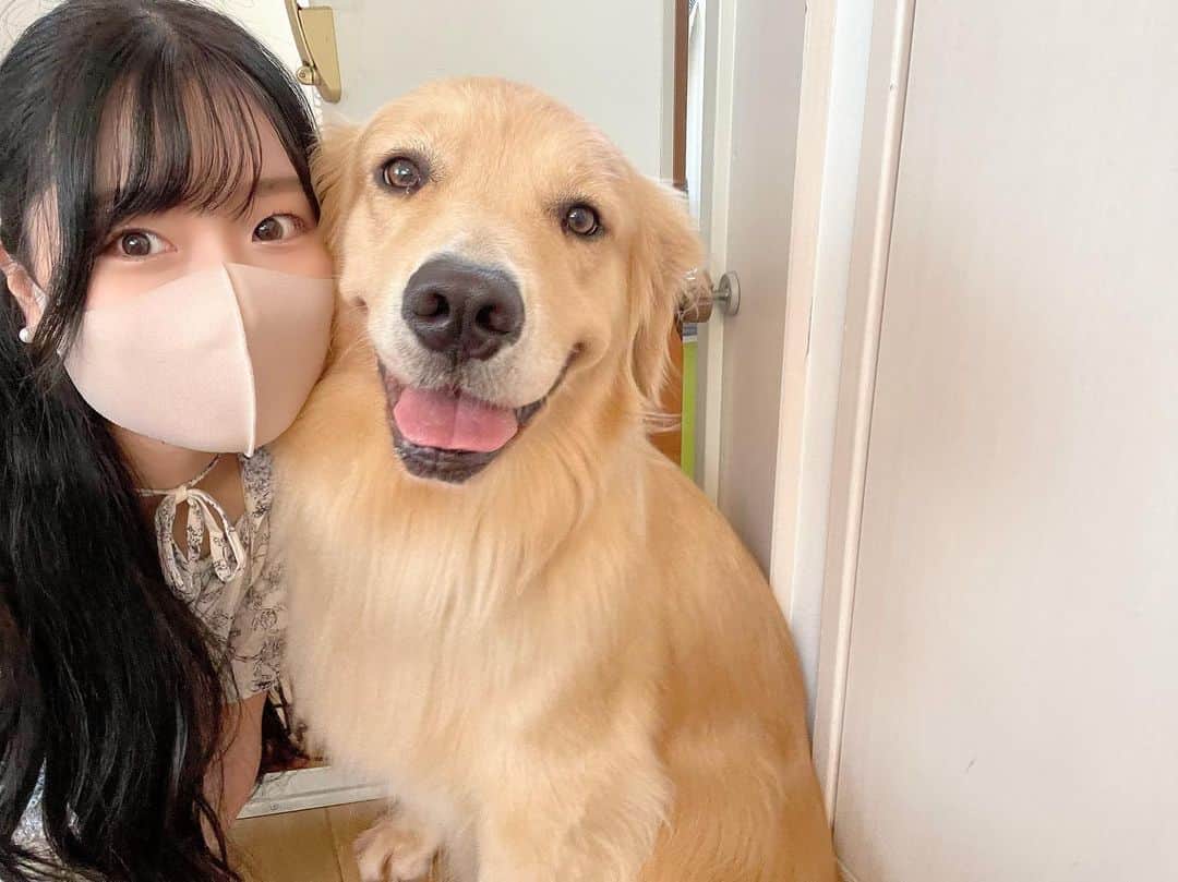 朝比奈ほのかのインスタグラム：「Love♡   #犬 #犬好き #大型犬  #可愛すぎる  #代々木公園  #dogheartfromアクアマリン  #ゴールデンレトリバー  #スミレ ちゃん #dog #animal」
