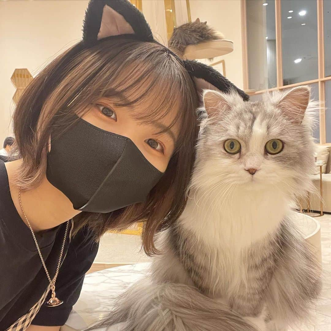 カワイレナさんのインスタグラム写真 - (カワイレナInstagram)「猫カフェ住みたい、、🐈🤍」8月25日 16時15分 - kawai_rena