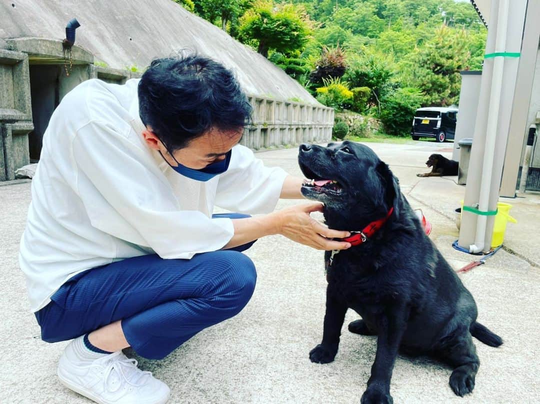 田中卓志さんのインスタグラム写真 - (田中卓志Instagram)「実家のラブ🐶 暑そうでした！  #アンガールズ #dog」8月25日 18時24分 - ungirls_tanaka