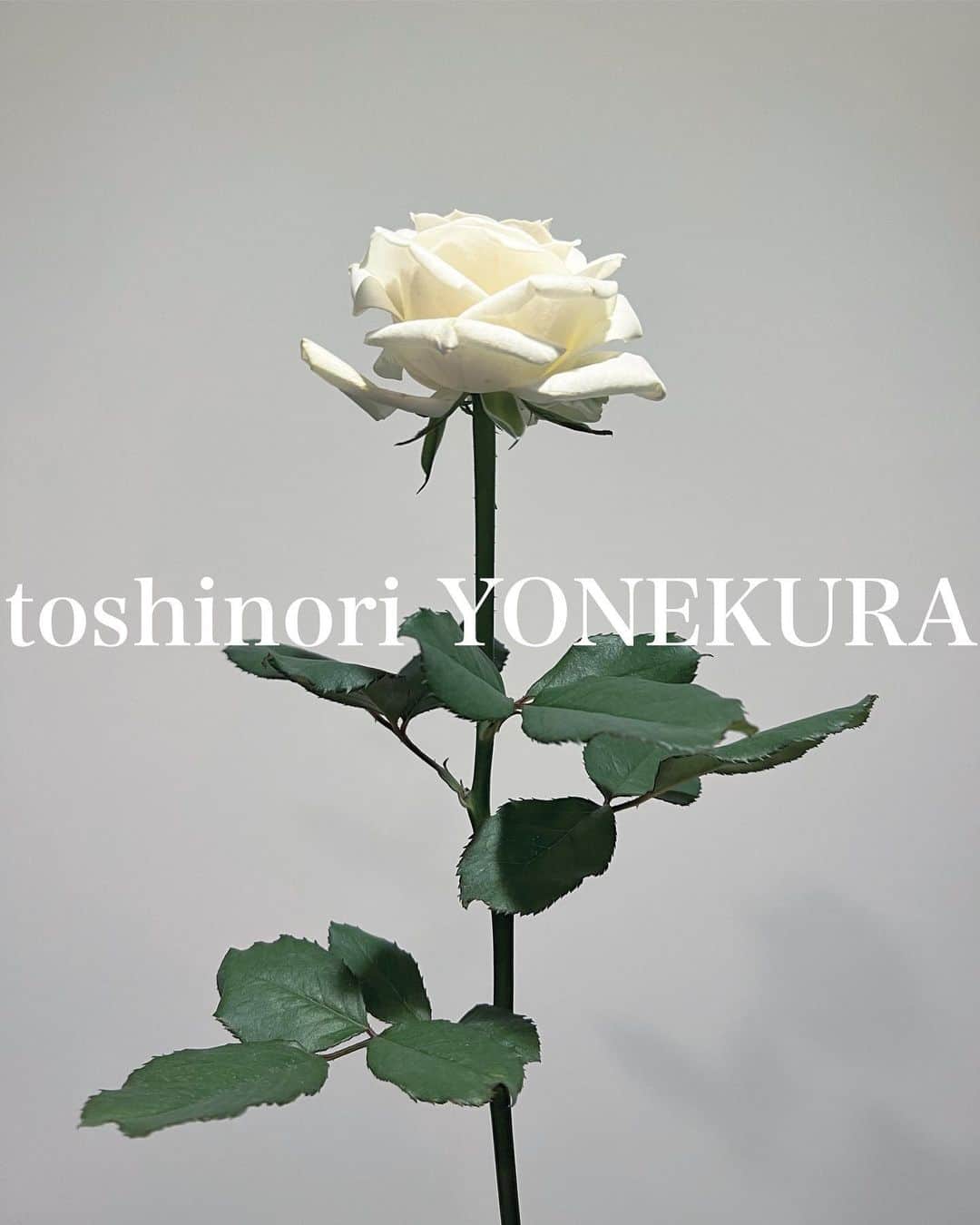 米倉利紀さんのインスタグラム写真 - (米倉利紀Instagram)「flower of this week」8月25日 19時24分 - toshi_yonekura