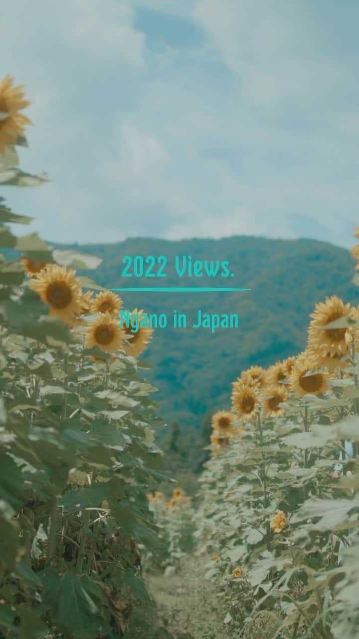 たなしんのインスタグラム：「2022summer  https://youtu.be/eb8p_CiLfFc  #visitjapan #travelgram #japan #japanlife #instajapan #japantrip #japantravel #japón #長野」