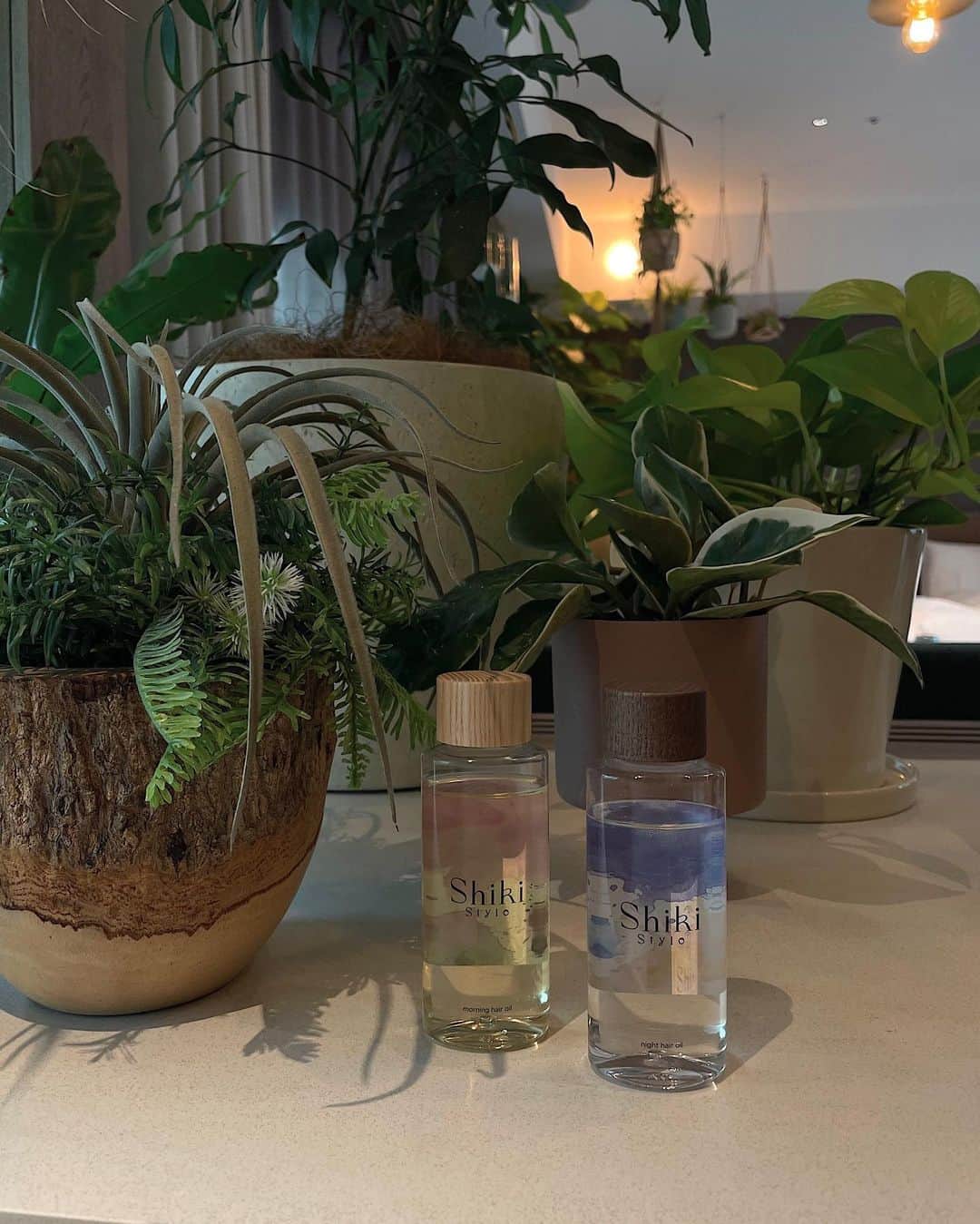 のインスタグラム：「Shiki hairoil使っていただけましたか？🌿 是非みなさんの感想を聞きたいです🤍  そして、昨日の動画で嬉しい嬉しい発表をさせてもらいました🌙 こうやってShikiがどんどん広まっていくのが本当に嬉しい… 沖縄の皆んなに直接会ってShikiを渡せることが楽しみで楽しみで、今からウキウキしてます😌 まだ見てない方は是非見てください♡  (ShikiのInstagramは私の好きな写真でこれから埋め尽くしていく予定🍃) . #Shiki #hairoil #ShikiStyle」