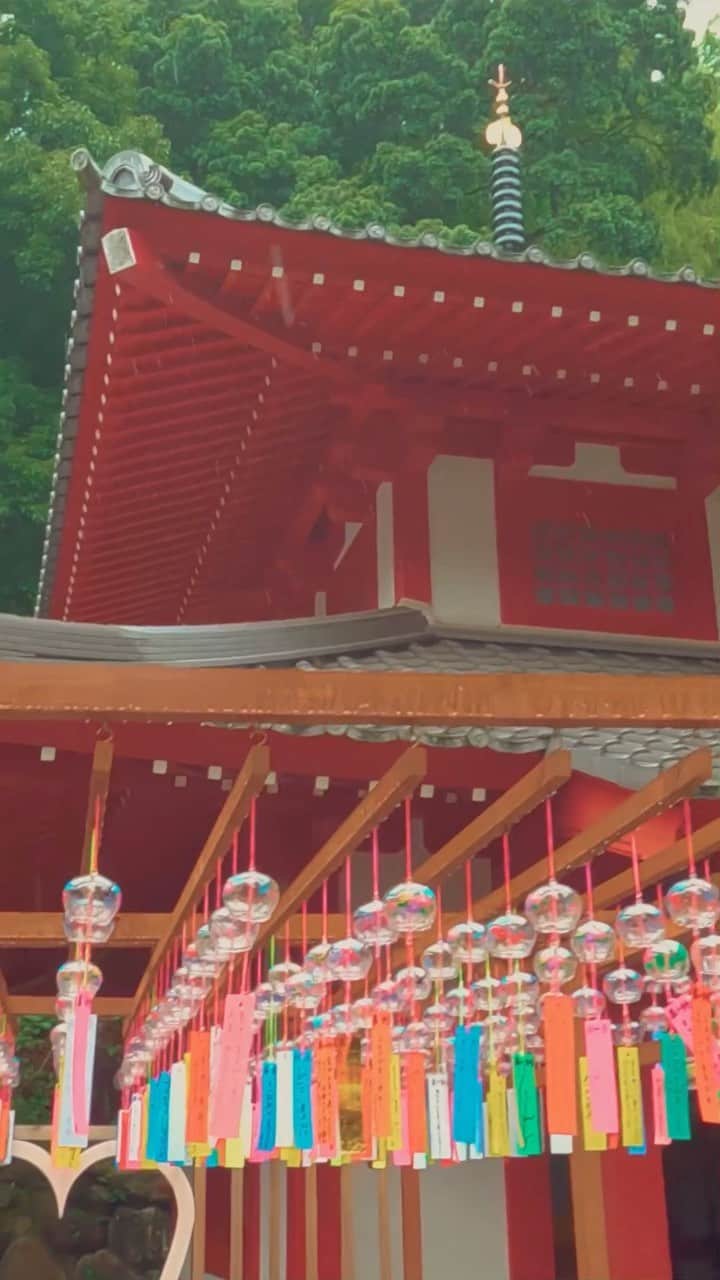井上ジョーのインスタグラム：「Japanese temple + Summer wind chimes❤︎  #japan #temple #shrine #japanesetemple #japaneseshrine #summer ##寺 #神社 #神社巡り #お寺 #風鈴 #参拝 #お祭り #花火 #花火大会 #japaneseculture #japaneseart #japanesearchitecture」
