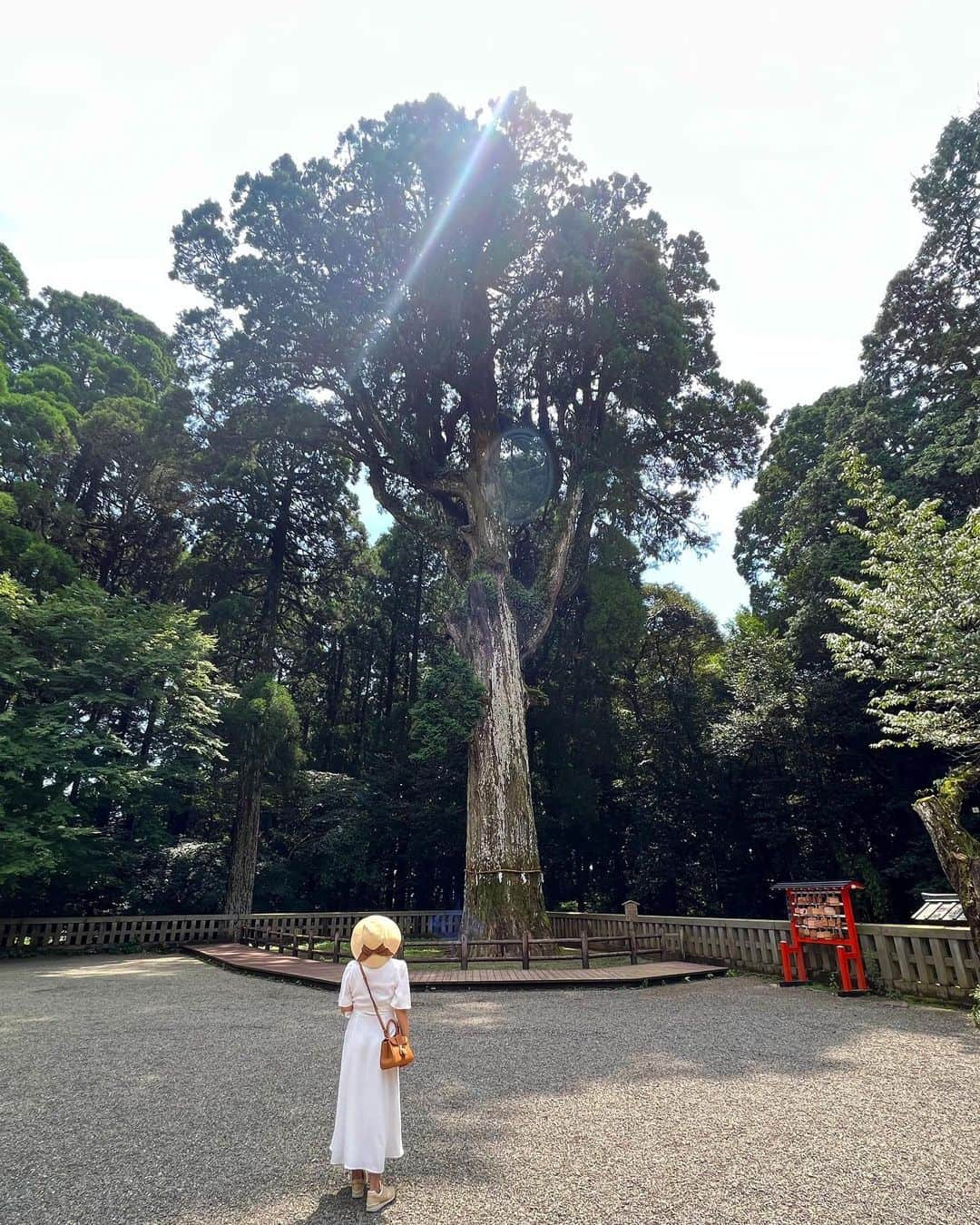 樋口智恵子さんのインスタグラム写真 - (樋口智恵子Instagram)「鹿児島の美しい場所へ。ずっと行きたかった霧島神宮にも行けて本当に嬉しかった⛩自然からもたくさんパワーをいただきました🌿 . 1-6霧島神宮 7-8推定樹齢1500年日本一の蒲生の大クス (左下の私のサイズで樹の大きさわかる🌲) 9丸尾の滝 10仙巌園 . . . . #霧島神宮 #蒲生の大楠 #丸尾の滝 #鹿児島旅行 #仙巌園 #kagoshima」8月26日 8時42分 - chieko_higuchi