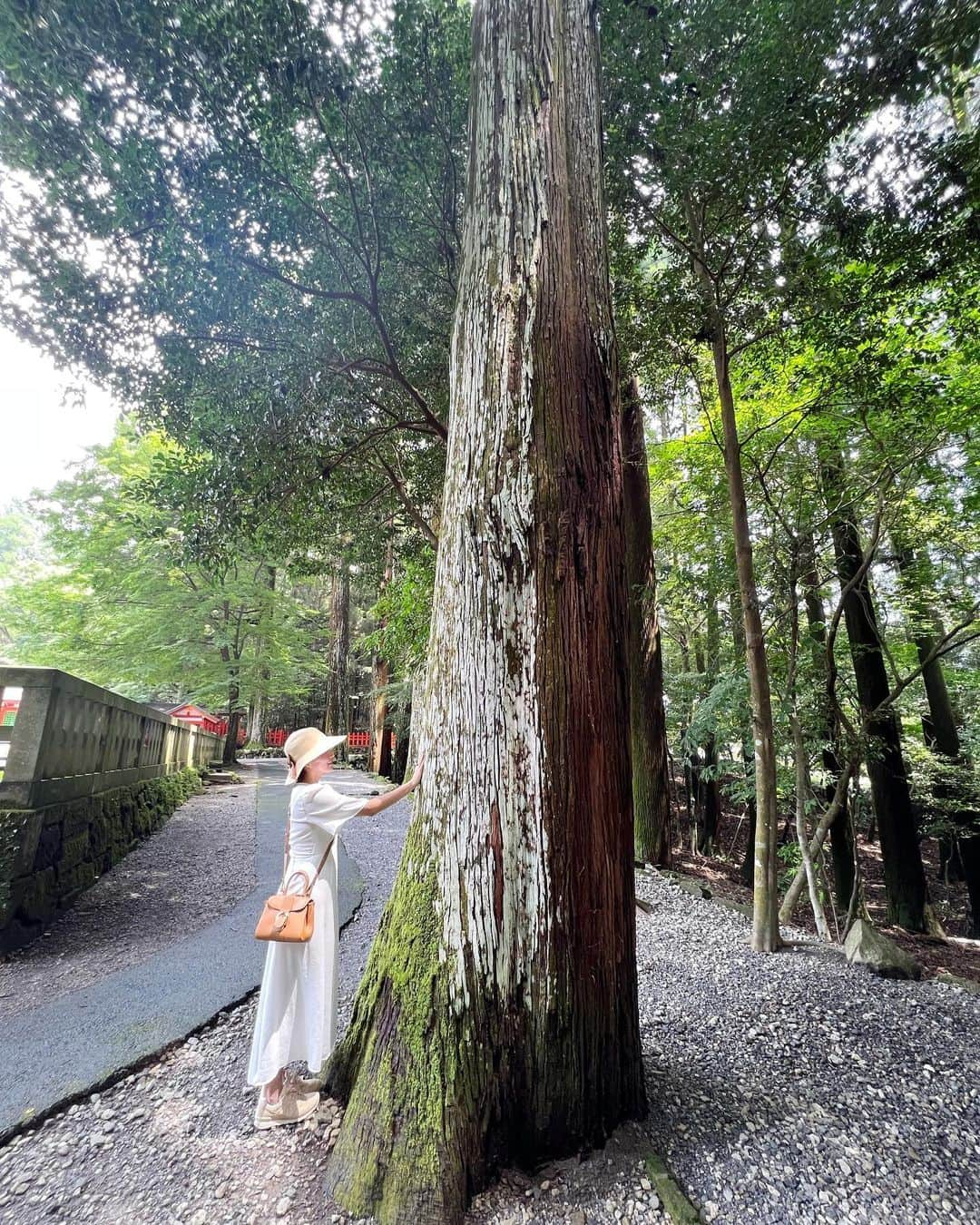 樋口智恵子さんのインスタグラム写真 - (樋口智恵子Instagram)「鹿児島の美しい場所へ。ずっと行きたかった霧島神宮にも行けて本当に嬉しかった⛩自然からもたくさんパワーをいただきました🌿 . 1-6霧島神宮 7-8推定樹齢1500年日本一の蒲生の大クス (左下の私のサイズで樹の大きさわかる🌲) 9丸尾の滝 10仙巌園 . . . . #霧島神宮 #蒲生の大楠 #丸尾の滝 #鹿児島旅行 #仙巌園 #kagoshima」8月26日 8時42分 - chieko_higuchi