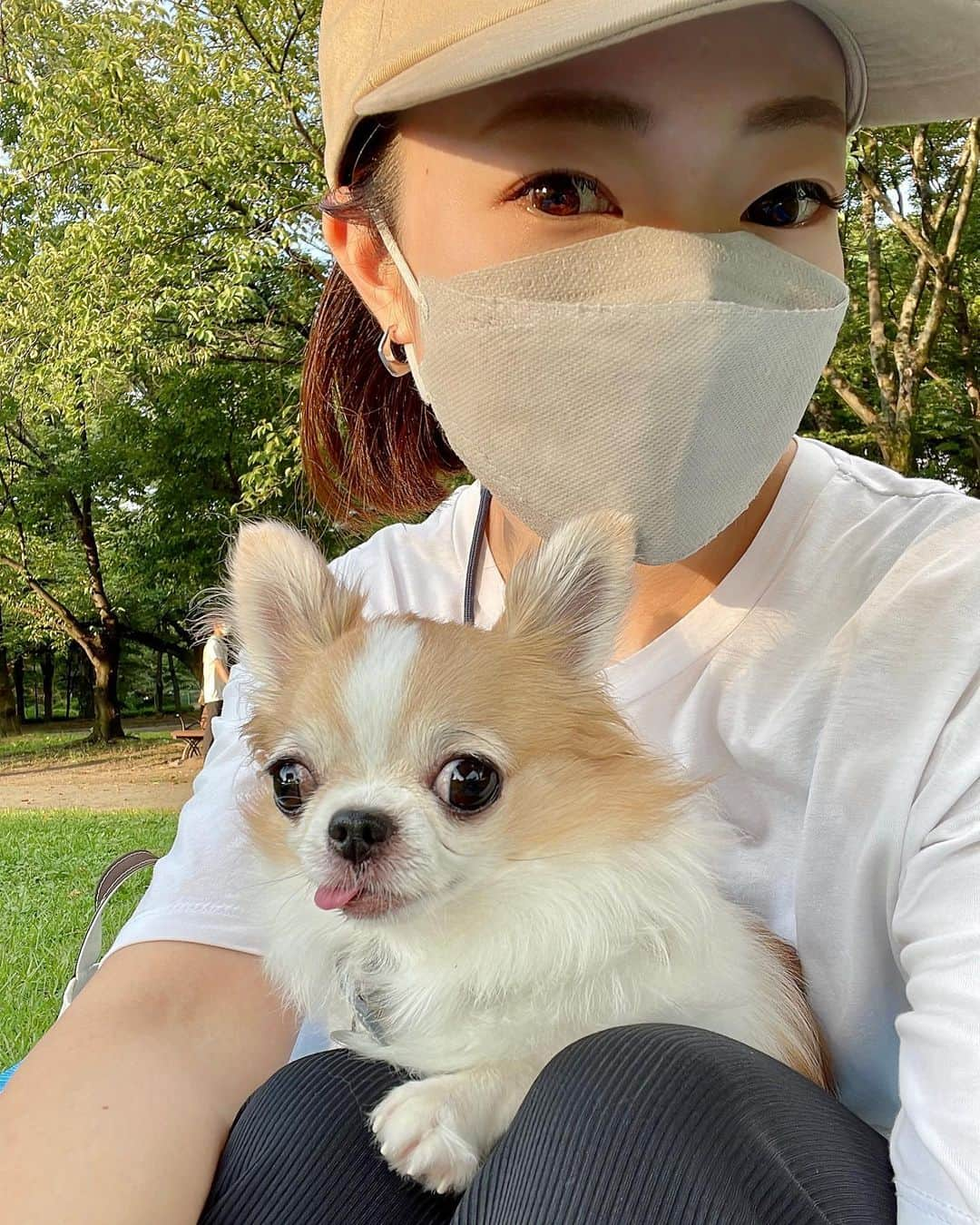 ちまのインスタグラム：「Have a nice weekend🐶🤍  この前ピクニックいったときの👒 夕方は過ごしやすい日が増えてきましたね🌿 嬉しいよーな、さみしいよーな...  #チワワ #chihuahua #ชิวาวา #PECOいぬ部 #WeeklyFluff #dogs #dogsofbark #chihuahualove #chihuahualife #chihuahuastagram #chihuahuasofins #summer #名城公園」