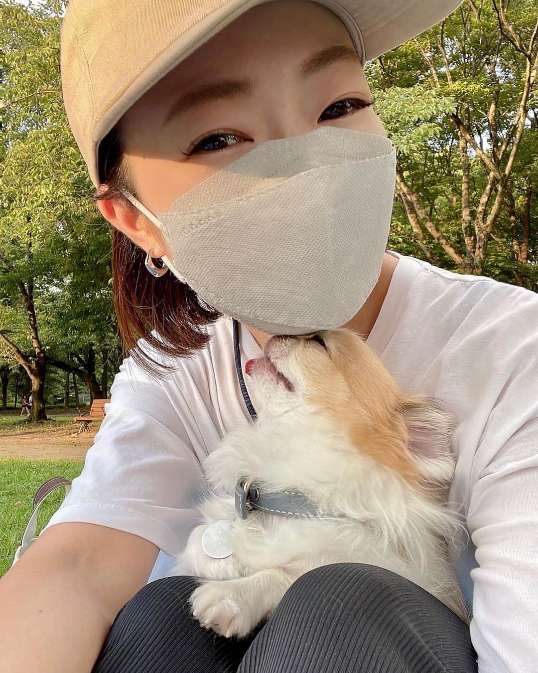 ちまさんのインスタグラム写真 - (ちまInstagram)「Have a nice weekend🐶🤍  この前ピクニックいったときの👒 夕方は過ごしやすい日が増えてきましたね🌿 嬉しいよーな、さみしいよーな...  #チワワ #chihuahua #ชิวาวา #PECOいぬ部 #WeeklyFluff #dogs #dogsofbark #chihuahualove #chihuahualife #chihuahuastagram #chihuahuasofins #summer #名城公園」8月26日 17時37分 - chima.chihuahua