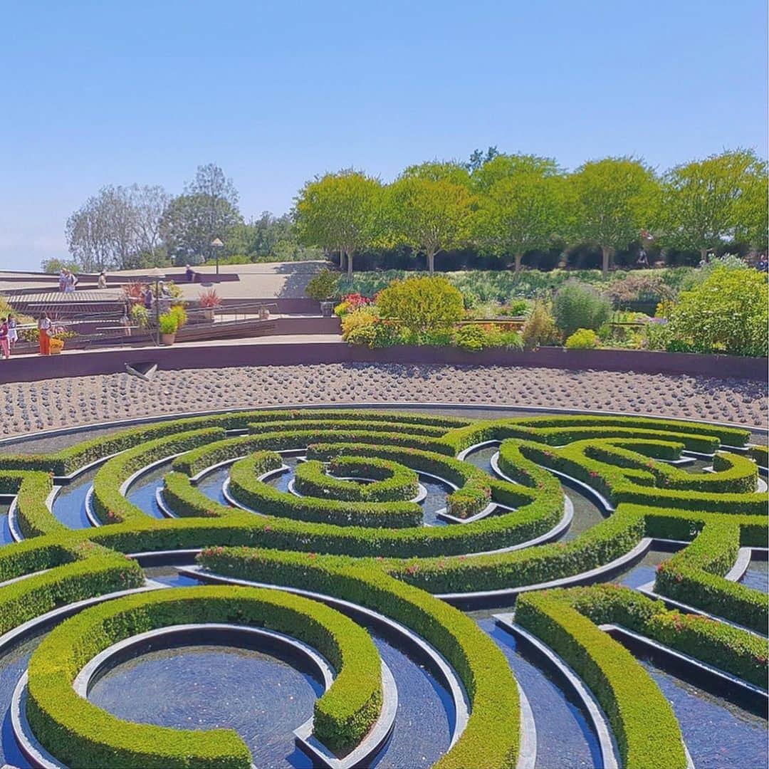 キム・アジュンのインスタグラム：「🌳 @gettymuseum  @bazaarbyjose @sonofagunrestaurant」
