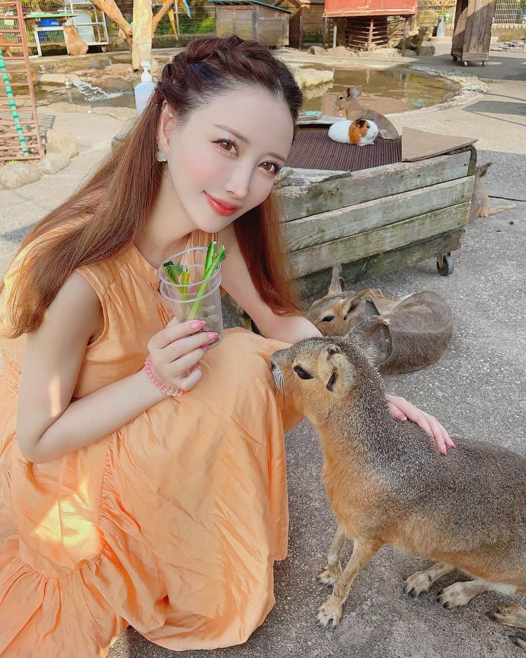 蘭子のインスタグラム