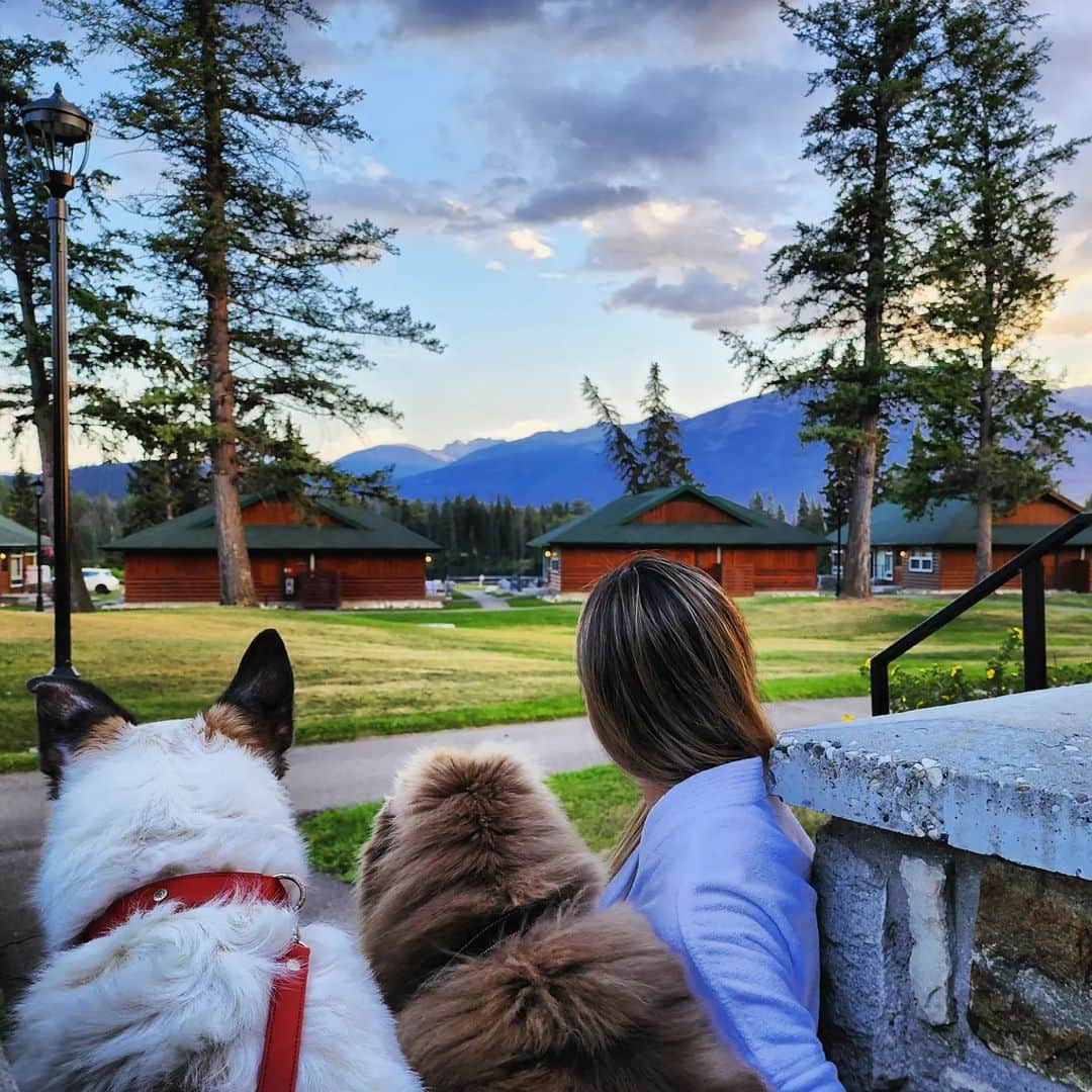 Tonkey Bearのインスタグラム：「Goodnight you absolute beauty @fairmontjpl   Snuggles and sunsets on the steps of our pet friendly room 🐻🐶🌅  #JPL100 #JasperParkLodge #AdventureHere #ThisIsCanada」