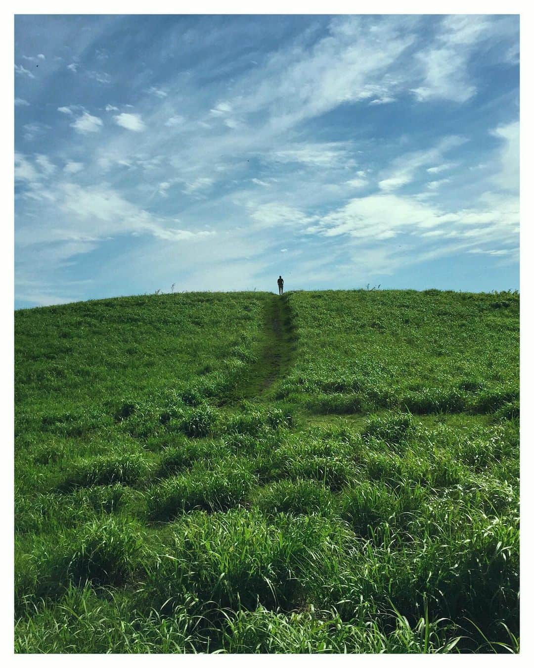 Koichiのインスタグラム：「.  ▲ Green hilltop  #tinypeopleinbigplaces #BeautifulJapan #生石高原 #和歌山  いつの間にか路端にススキの穂が。 まだまだ暑いけど、季節は少しづつ秋に向かってる。  .」