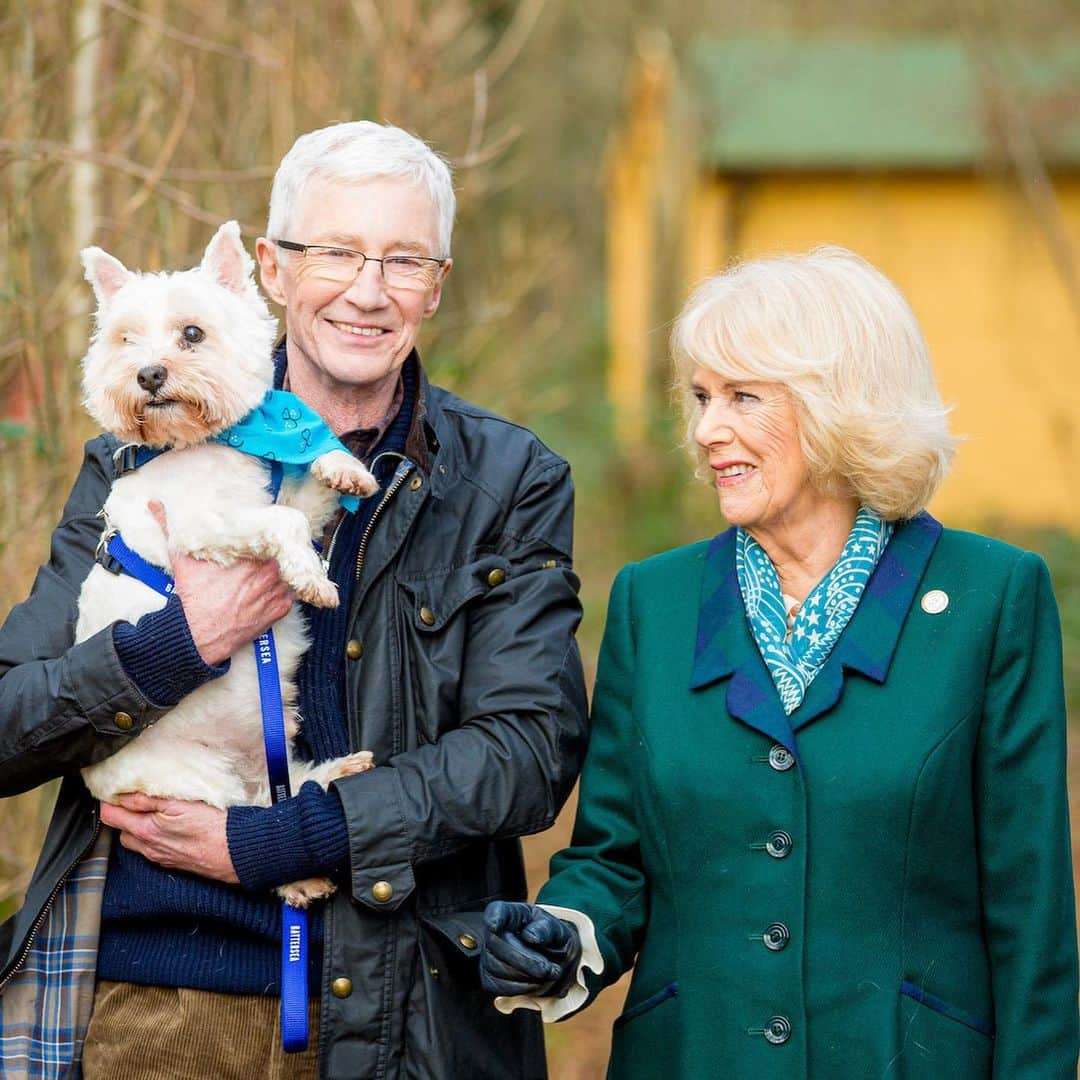 クラレンス邸のインスタグラム：「Happy International Dog Day! 🐾 A time to celebrate our beloved canine companions as well as championing the work that organisations such as @Battersea and @MedicalDetectionDogs do to help dogs everywhere.   🐶 The Duchess’s own dogs, Beth and Bluebell, were adopted from Battersea, the charity which has rehomed more than three million animals since being founded in 1860.   🐶 The Medical Detection Dogs charity trains dogs to detect human disease and support people with life-threatening health conditions, saving lives on a daily basis and helping the NHS by reducing hospital admissions.」