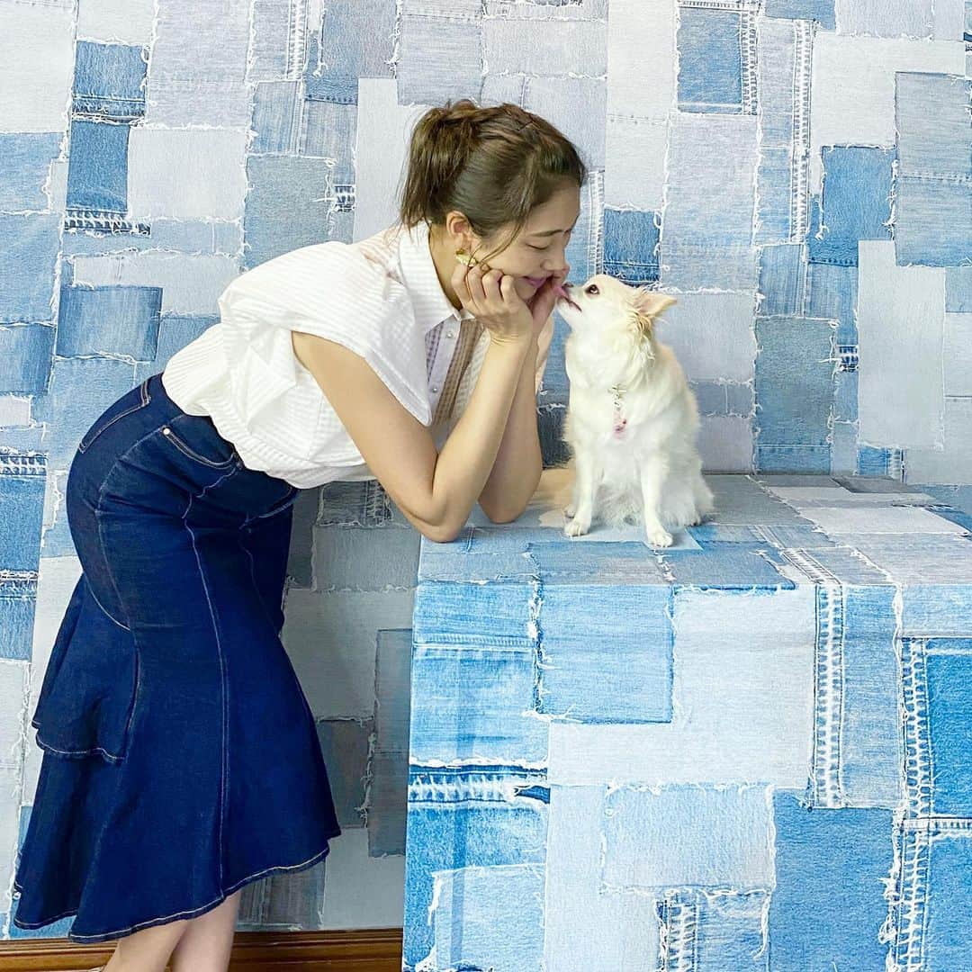 小早川怜子さんのインスタグラム写真 - (小早川怜子Instagram)「愛犬と💙  見つめ合ったらキスされた💋」8月27日 1時53分 - reiko.kobayakawa