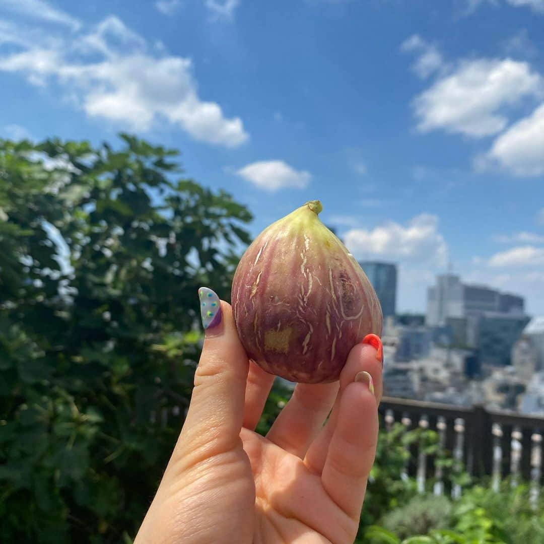 桜雪のインスタグラム