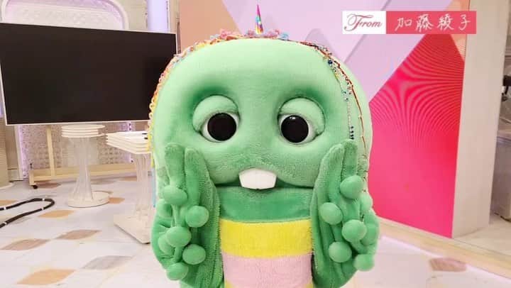 加藤綾子のインスタグラム：「* ガチャピン凄ーい✨ おめでとー🥳🎉  #イット #ガチャピン #榎並アナウンサー」