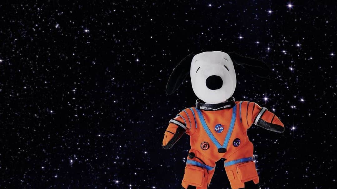 スヌーピーのインスタグラム：「Snoopy is going to space! He will be the zero-gravity indicator aboard the #Artemis I mission set to launch August 29. Check out this video to learn more about the preparations for this special journey! @nasaartemis #snoopyinspace」