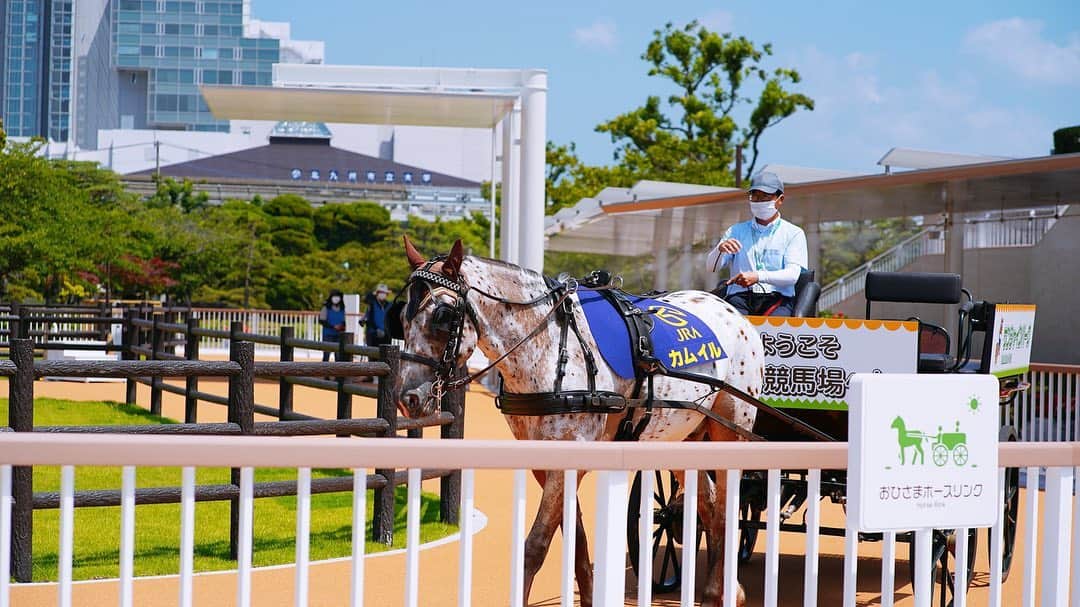 石川彩夏のグルメインスタ