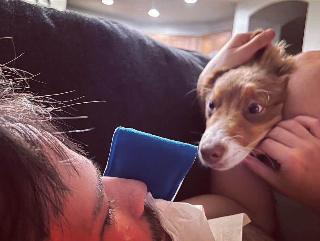 ネイサン・クレスさんのインスタグラム写真 - (ネイサン・クレスInstagram)「“Babe we should let Penny on the couch. She’s 5 months old, what could possibly happen??” -my wife  A razor-sharp canine tooth dragged along the inside of my nostril, that’s what.」8月27日 14時28分 - nathankress