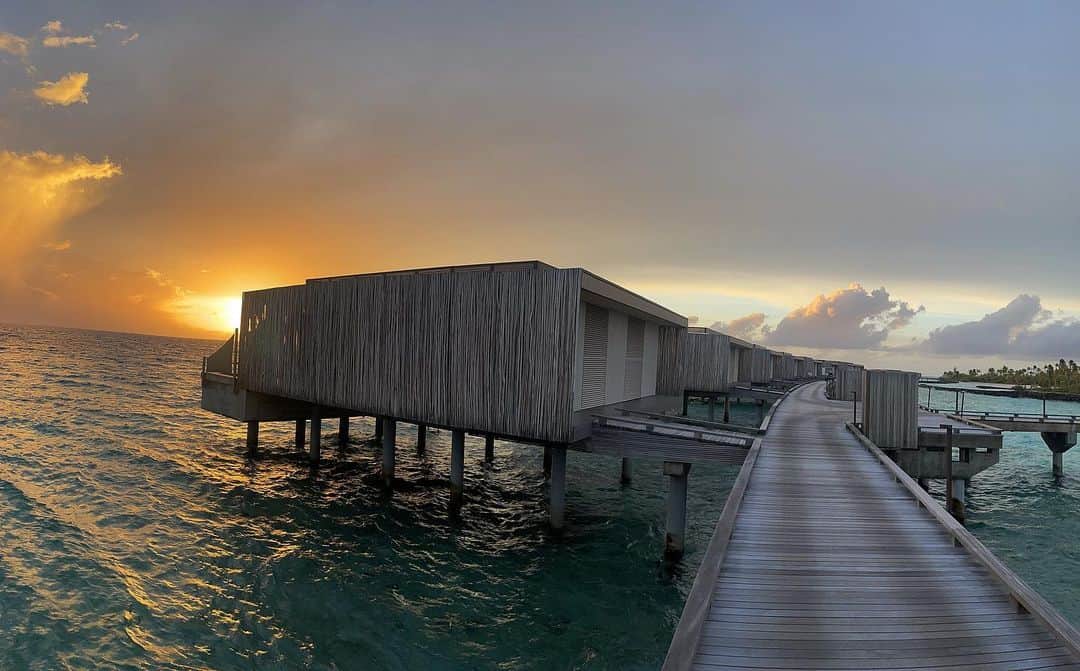 イモージェン・ケアンズのインスタグラム：「🦀🐙🦑 #patinamaldives @patinamaldives #maldives #waterbungalow #goldenhour」