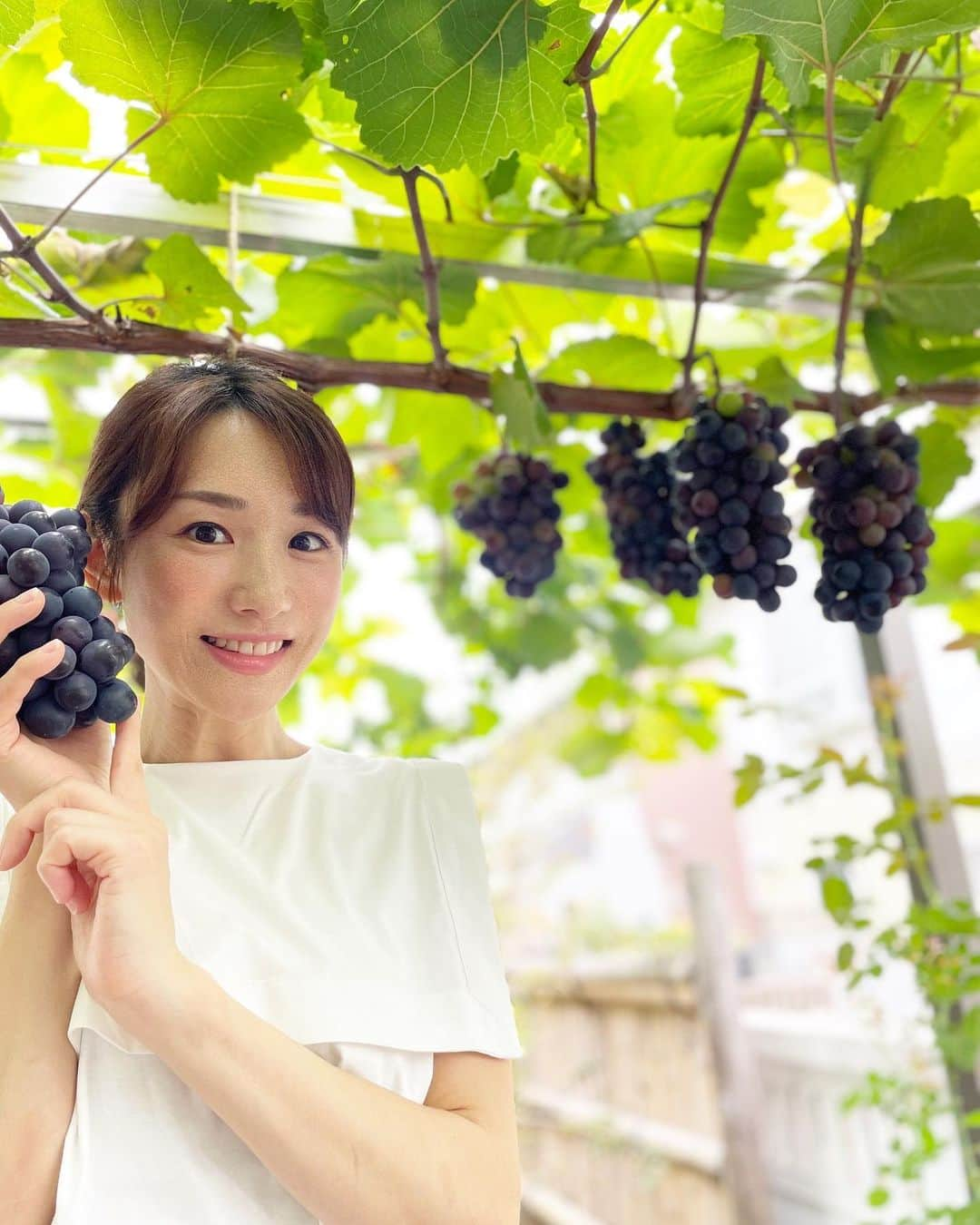 堂真理子さんのインスタグラム写真 - (堂真理子Instagram)「実家で、父が育てた葡萄を収穫🍇しました🥰 今年もたくさん実りました〜♫   #父 が育てた  #葡萄  #実りました  #収穫  #もうすぐ  #秋  #おうち時間  #堂真理子 #テレビ朝日 #アナウンサー」8月27日 18時25分 - mariko_do