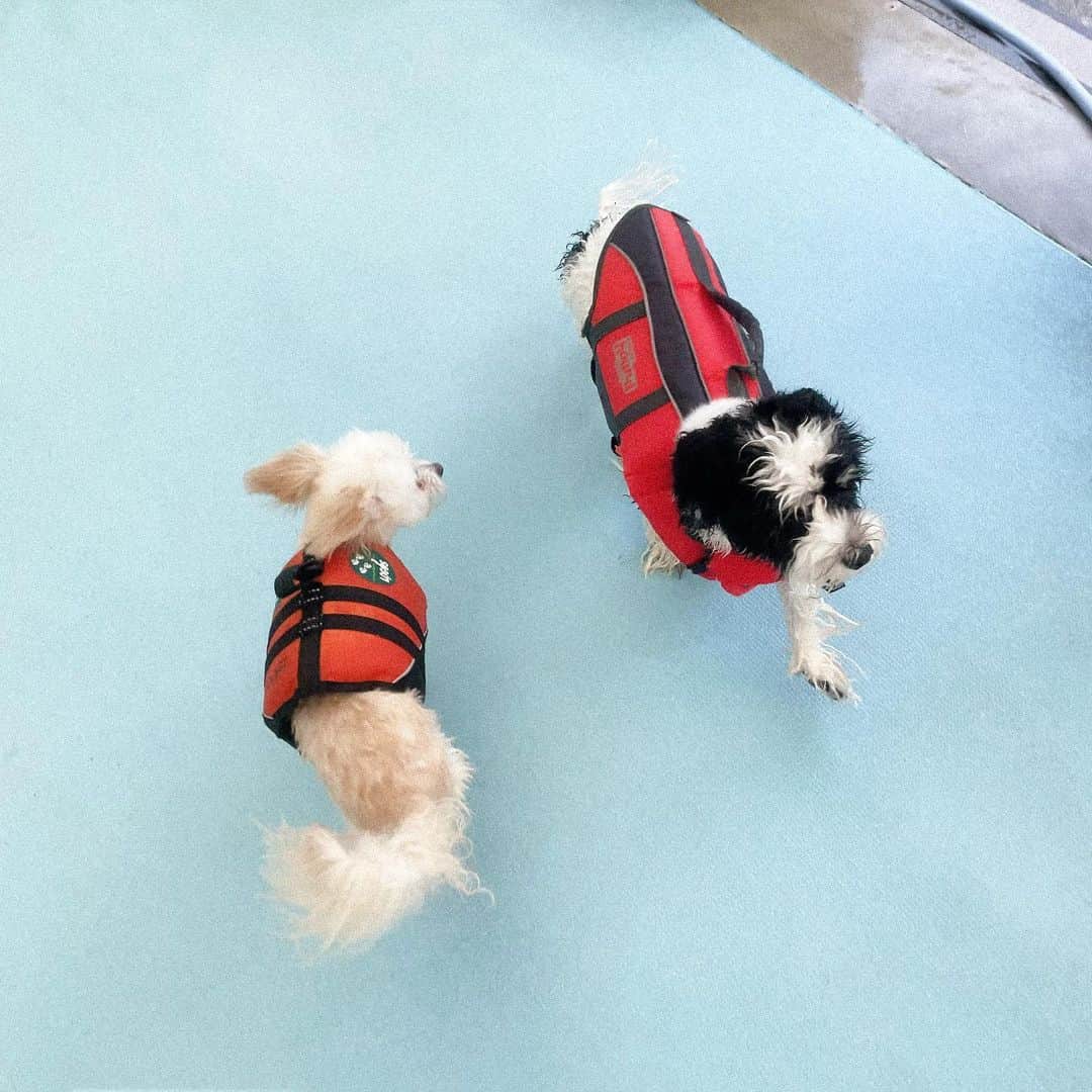 越智ゆらの（ゆらゆら）のグルメインスタ