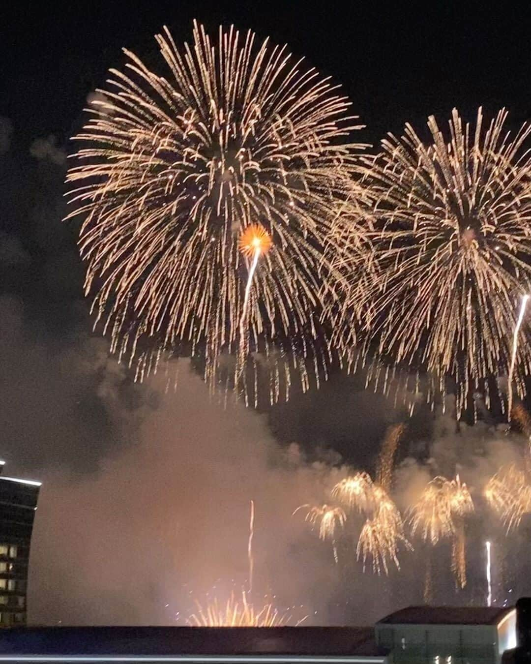 スウィージー美紀のインスタグラム：「今年の夏見た フィナーレ間際の花火。  #花火 #宇多田ヒカル さん  蝉の鳴き声の聞き分けにハマった夏でした。」