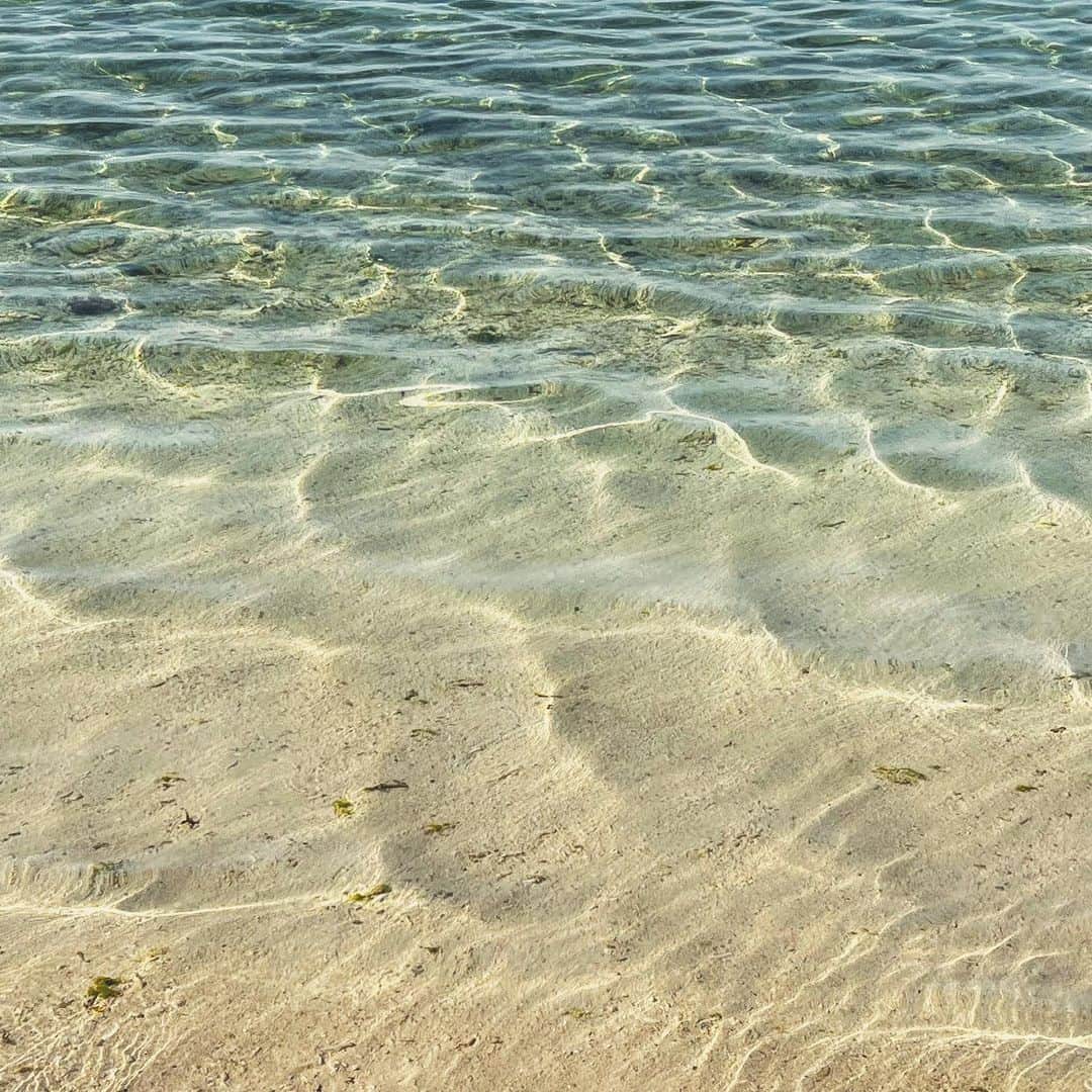 清水彩子さんのインスタグラム写真 - (清水彩子Instagram)「沖縄の海綺麗🏖✨ #沖縄」8月28日 11時47分 - ayakosugar