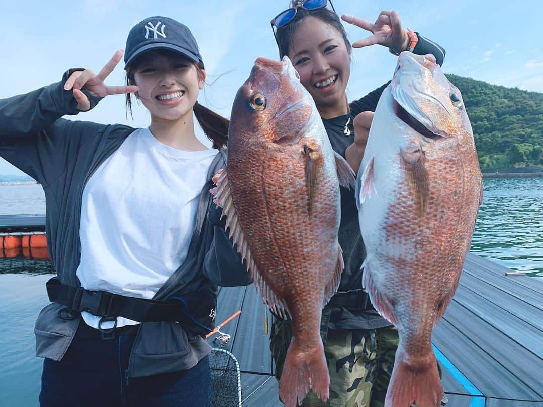 関西テレビ「釣りたガール！」さんのインスタグラム写真 - (関西テレビ「釣りたガール！」Instagram)「昨日に引き続きフッチーさんと一緒に釣りをしてきました☺️  今日は白浜町にあるカタタの釣堀さんにお世話になり、海上釣堀を満喫❣️  そして、私は初めての青物釣りに挑戦しました！！  2枚目はヒラマサに振り回されている時の写真です😂　  これまでに感じたことのない重さと引きの強さで本当に本当に大変でしたが、なんとか釣り上げることができました！ あの達成感は忘れられませんっ😳✨  釣った魚はお刺身で美味しく頂きました😋🫶🏻  さらに！フッチーさんと映え写真対決もしています！ 一体どんな写真でどちらが勝ったのか…😳  こちらもオンエアをお楽しみしていてください😚❣️  #釣りたガール #白浜 #カタタの釣堀  #釣り」8月28日 21時05分 - tsurita_girl