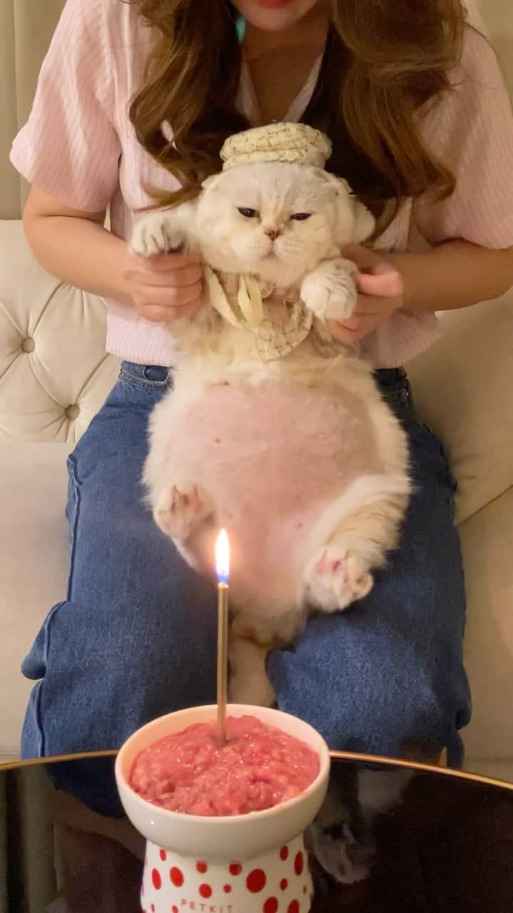 Haruのインスタグラム：「26.8.22 💗Happy birthday to me. I turned 9 this year. Time flies, many things happened but I’m still fighting for myself to be happy and healthy. My vet said I’m getting better nothing much to concern.😋💗 พี่รุเก้าขวบแน้ว ปีนี้มาในชุดจัดเต็มตะลุยปาร์ตี้ซอยจุ๊ ถูกใจมาก นุดรู้ใจเป็นทิสุด 😘」