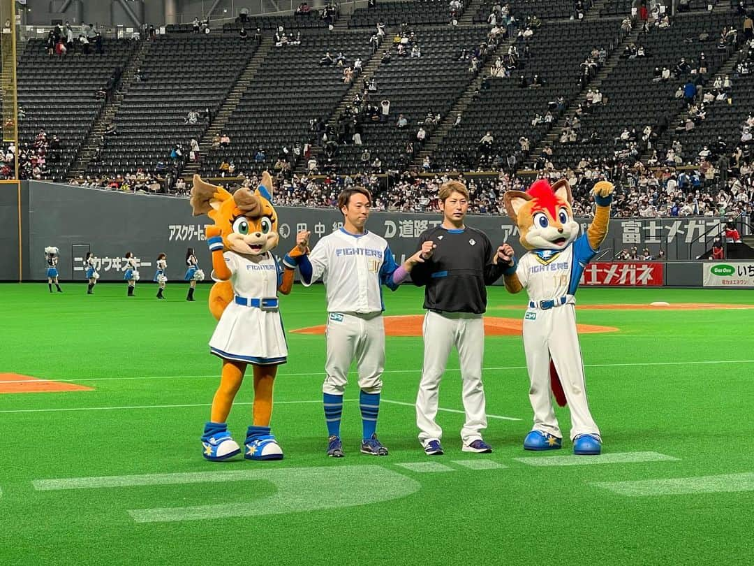 北海道日本ハムファイターズ フレップのインスタグラム