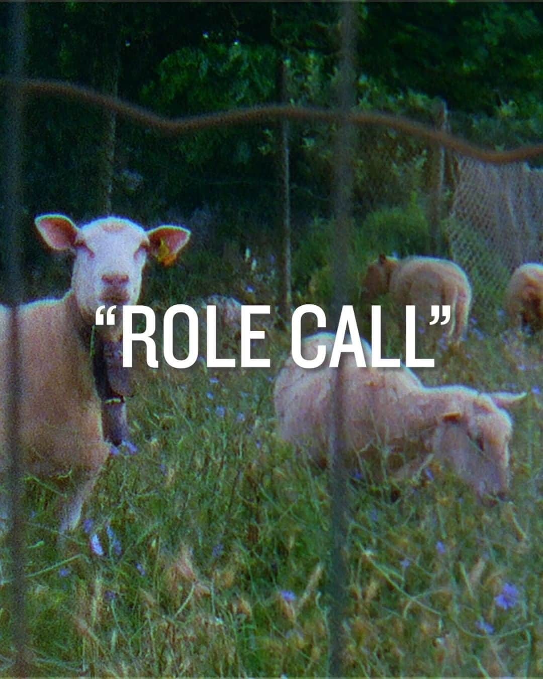 ブリクストンのインスタグラム：「Brixton and @thrasher linked up this summer to travel overseas to Lisbon, Portugal for a couple of weeks. We're excited to premiere the video 'Role Call', alongside Thrasher on September 29th at Zebulon LA. Filmed & edited by Brendan Bill. Come join us.」