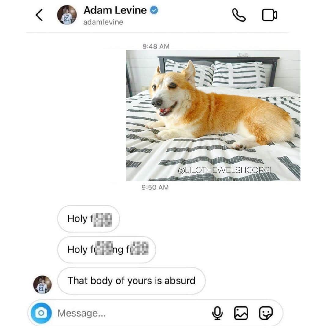 Liloのインスタグラム：「New Adam Levine dms leak… brace yourself 😳」
